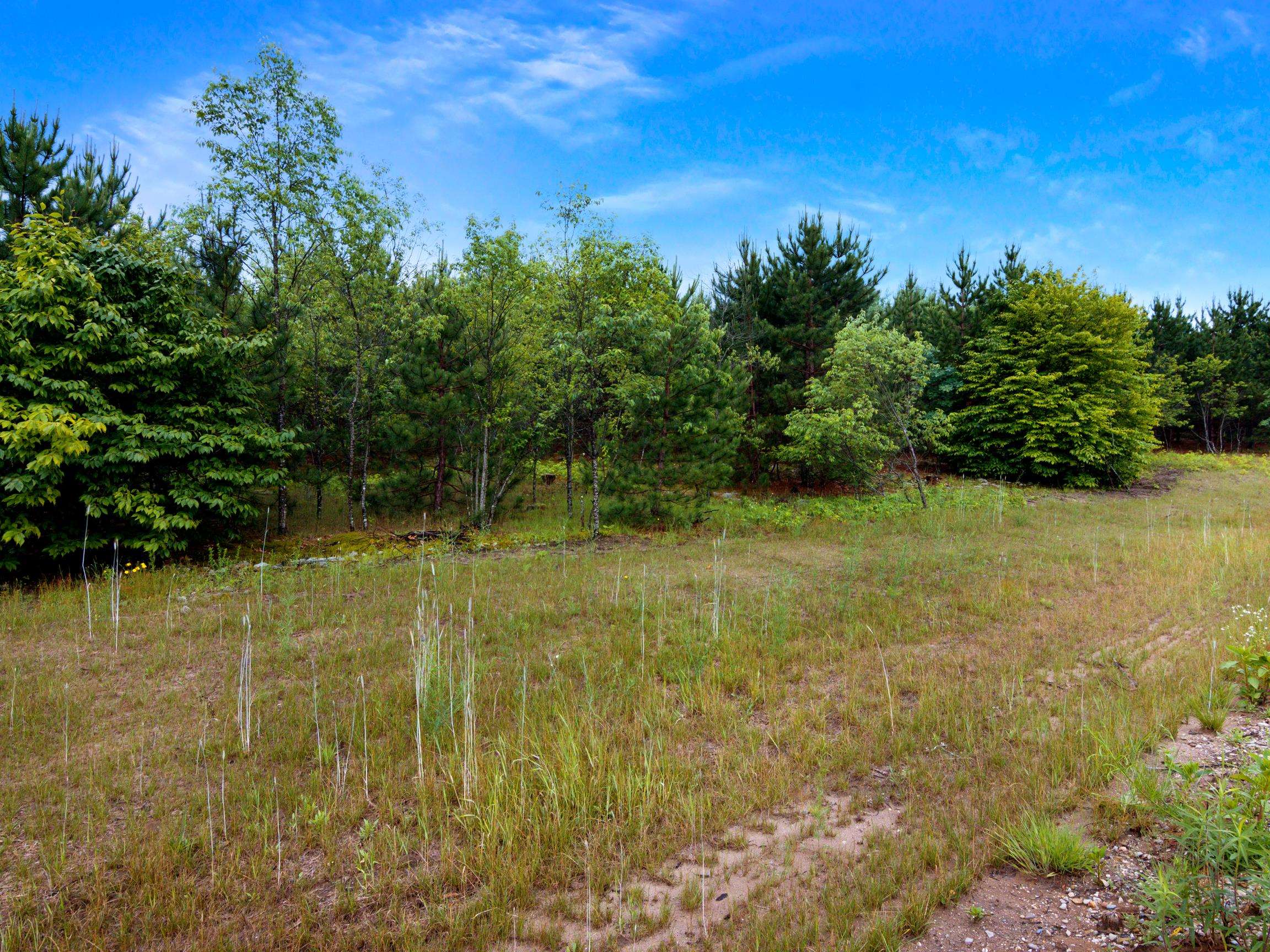 0 Maple Farms Lane Kingsley, MI 49649 - Photo 12 of 21 1947367-f98f7a3e-d085-4d24-a940-b3df3d7fafee.JPG