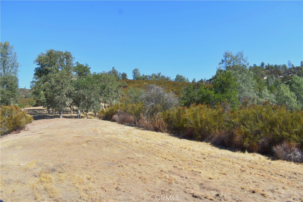 76370 Bryson Hesperia Road Bradley, CA 93426 - Photo 15 of 23 a view of a dry yard with a tree