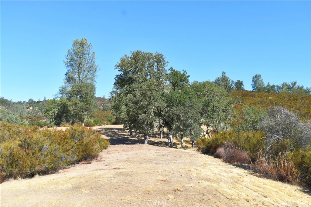 76370 Bryson Hesperia Road Bradley, CA 93426 - Photo 16 of 23 a view of a backyard with plants and a mountain view