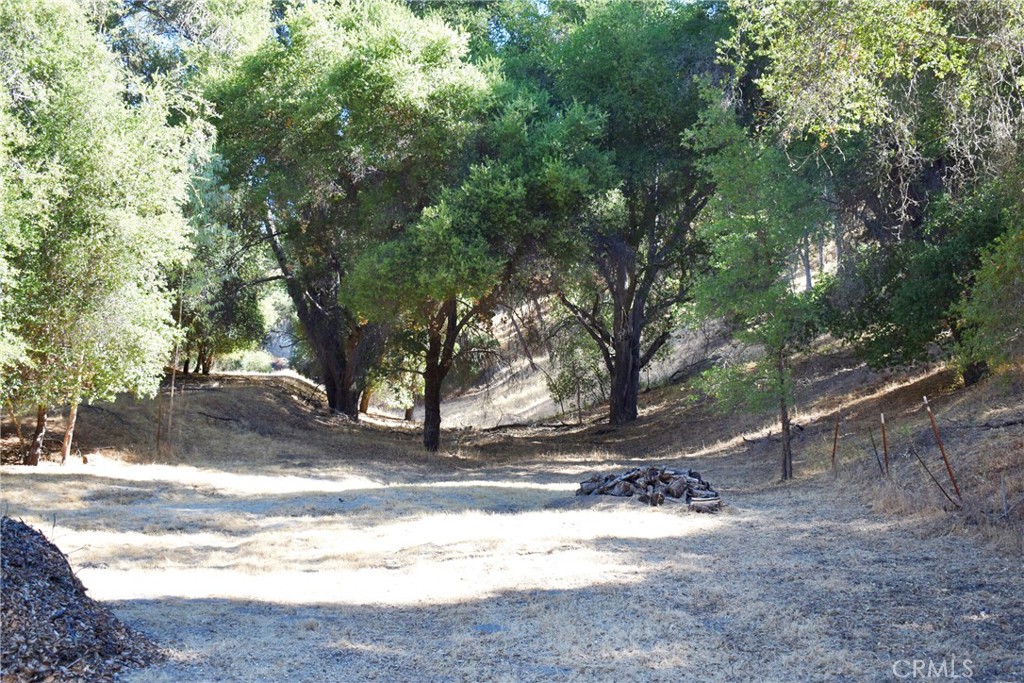 76370 Bryson Hesperia Road Bradley, CA 93426 - Photo 9 of 23 a view of road with trees
