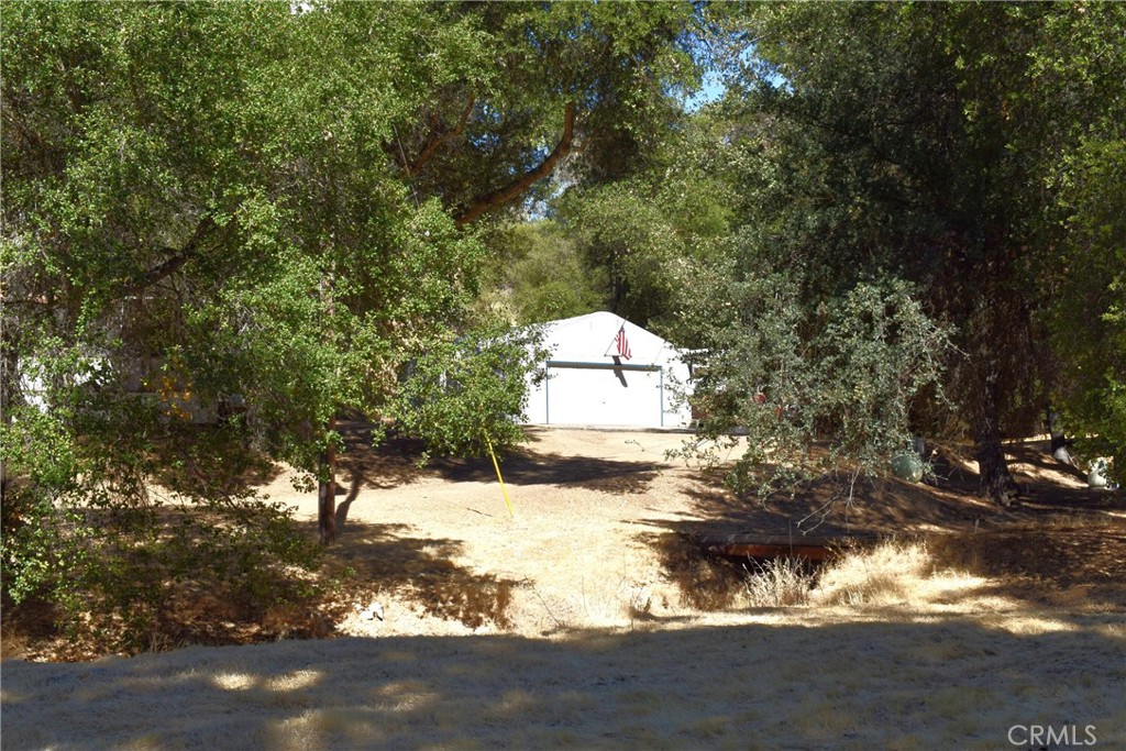 76370 Bryson Hesperia Road Bradley, CA 93426 - Photo 10 of 23 a view of a yard with large trees