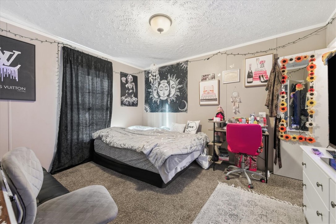 616 Anderson Road Pendleton, SC 29670 - Photo 12 of 29 This cozy bedroom features comfortable carpeting and a ceiling light fixture.
