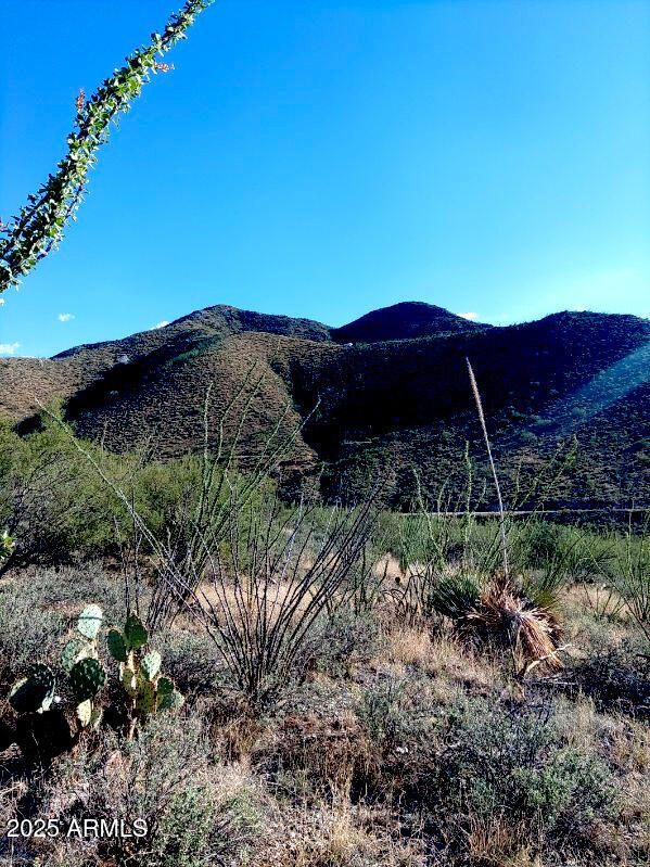 16231 East Hillton Ranch Road Vail, AZ 85641 - Photo 6 of 23 Hilton Ranch21