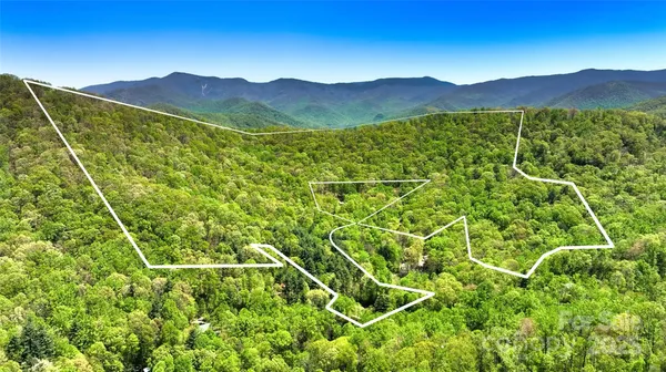 a view of a mountain from a yard