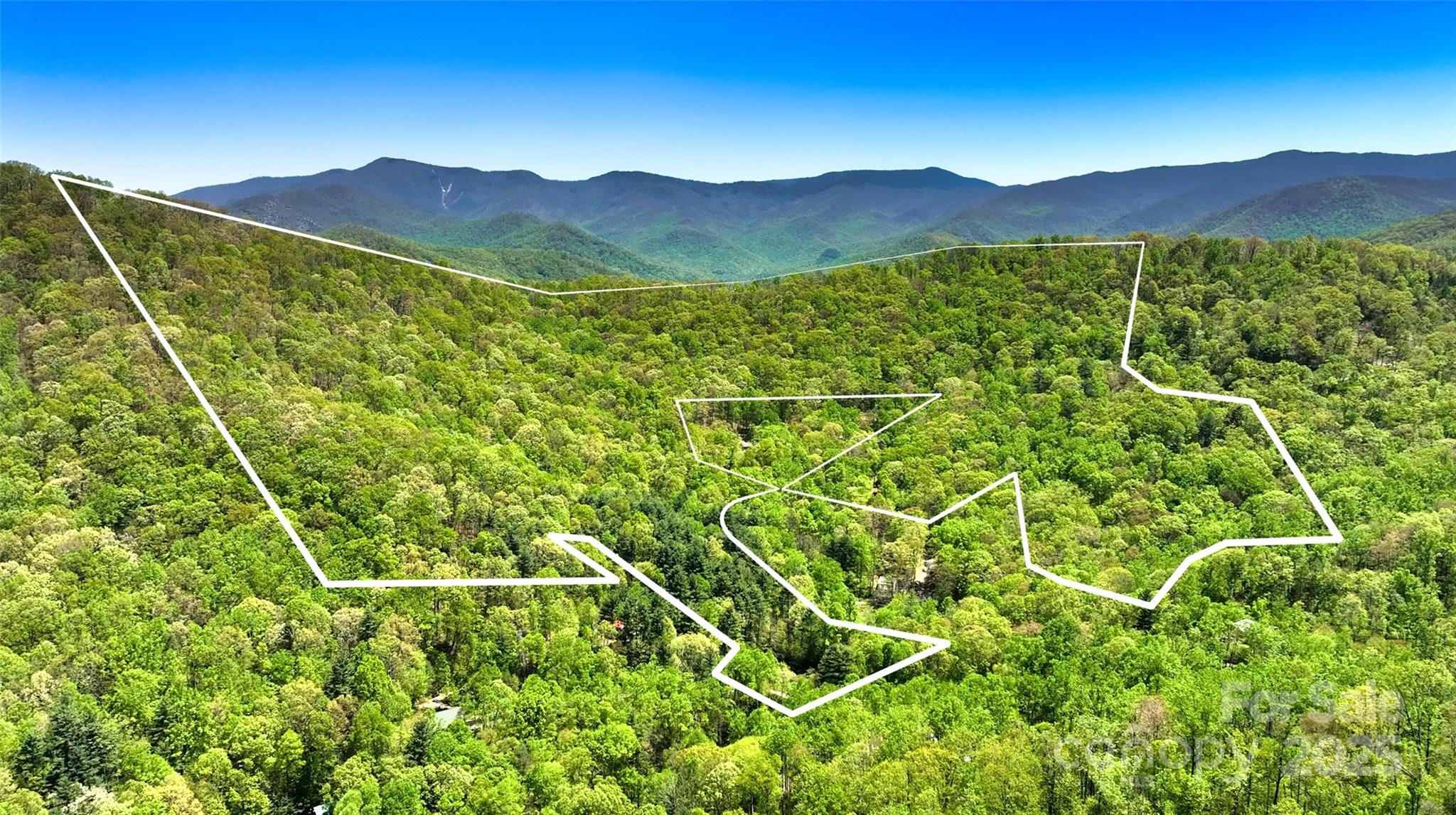a view of a mountain from a yard