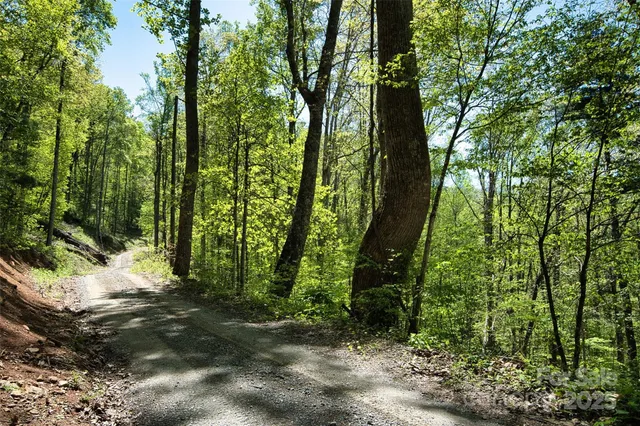a view of outdoor space and trees