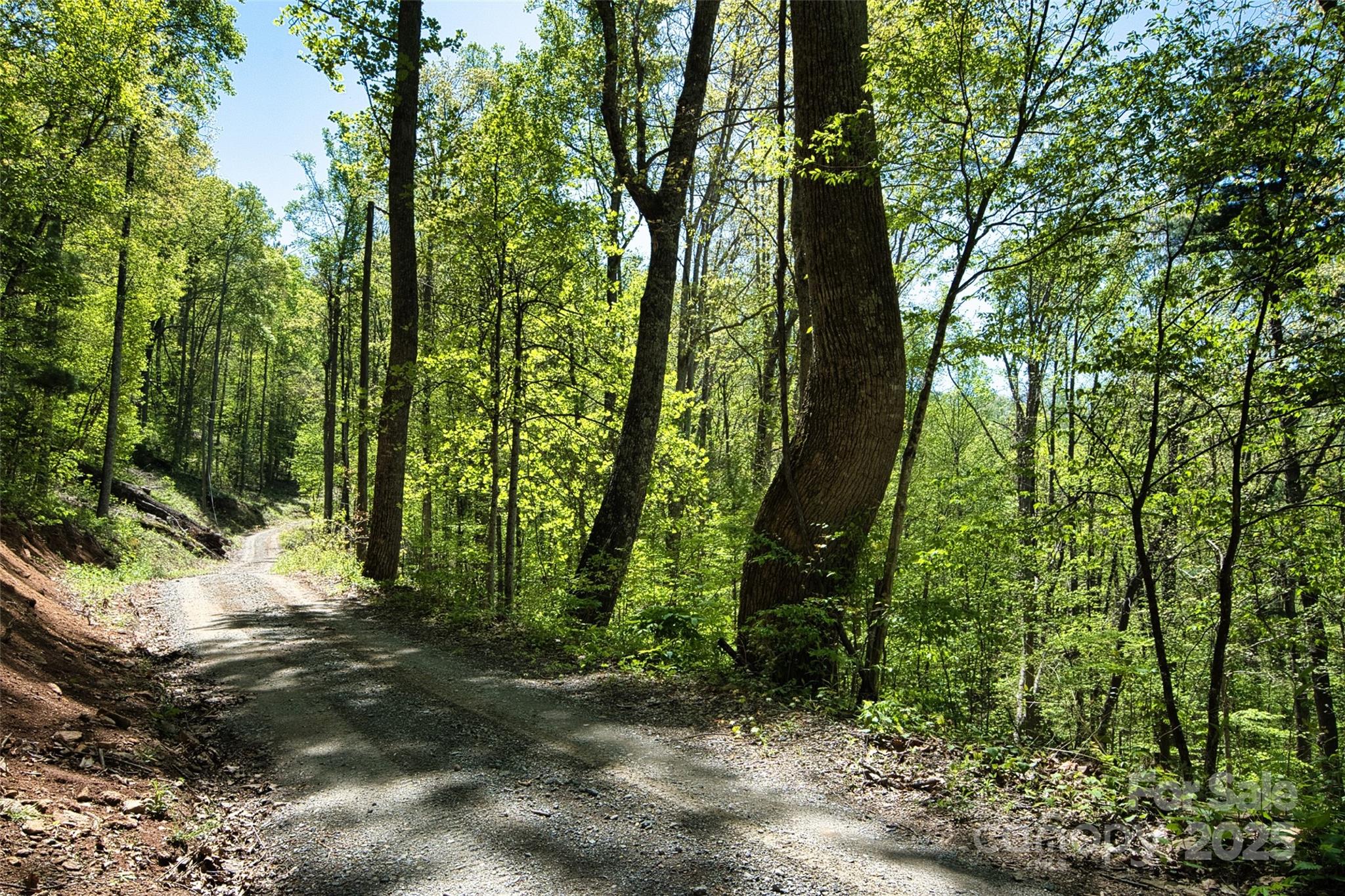 99999 Anderson Cove Road Barnardsville, NC 28709 - Photo 16 of 36 a view of outdoor space and trees