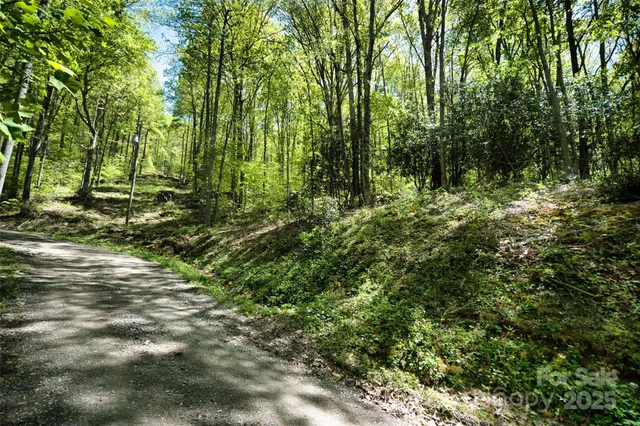 a view of outdoor space and trees