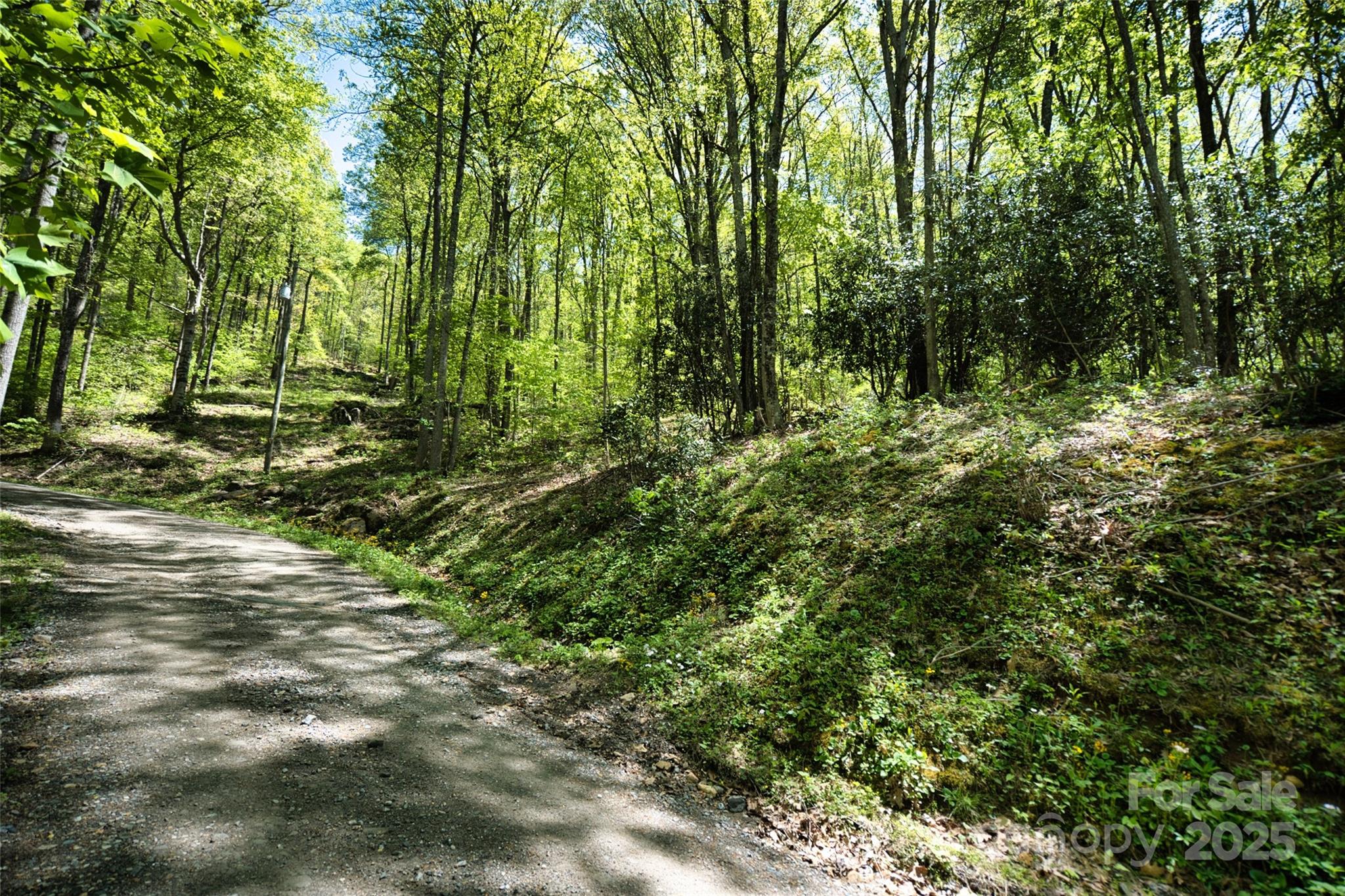 99999 Anderson Cove Road Barnardsville, NC 28709 - Photo 17 of 36 a view of outdoor space and trees