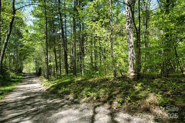 a view of outdoor space and trees all around