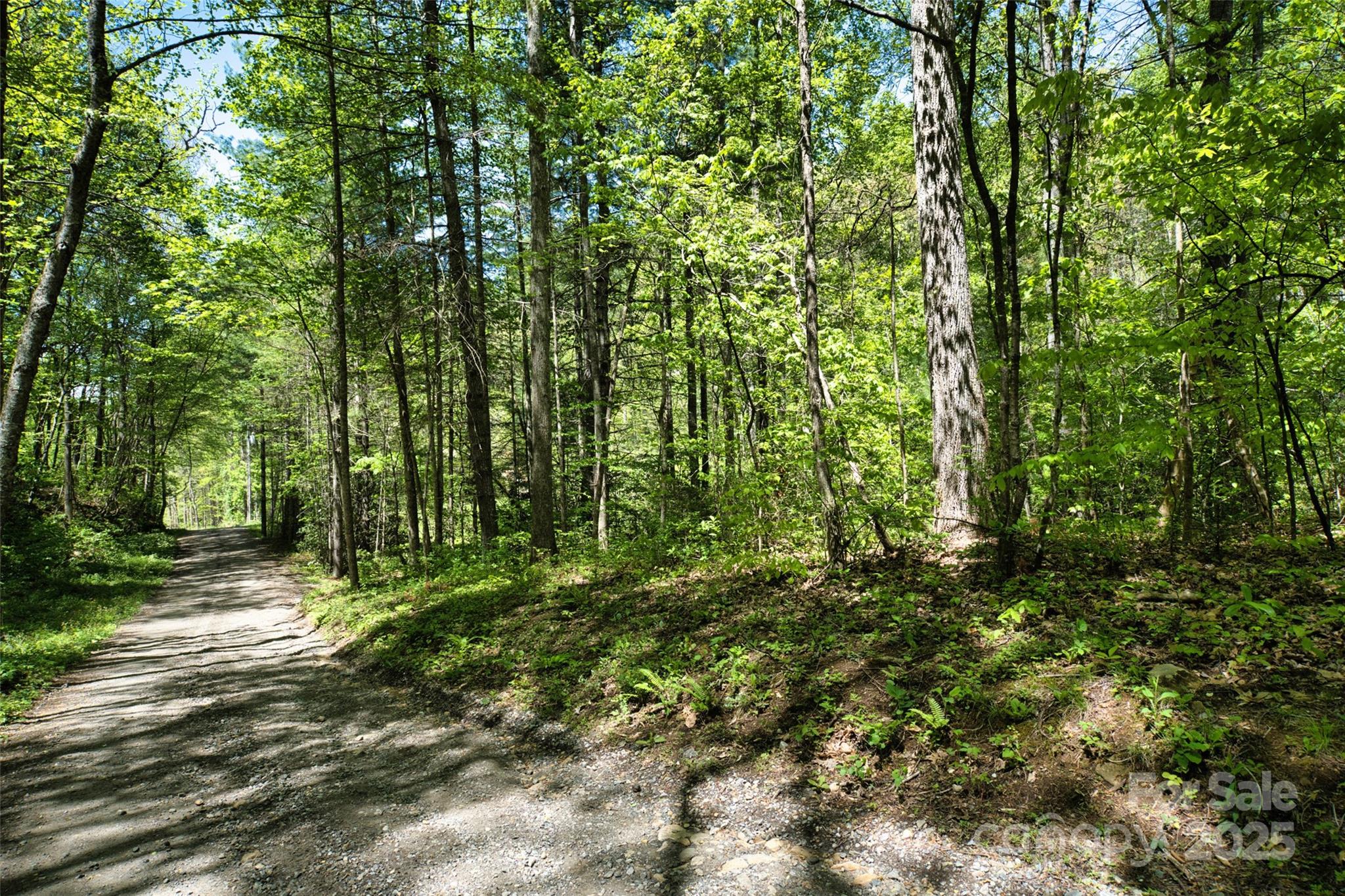 99999 Anderson Cove Road Barnardsville, NC 28709 - Photo 19 of 36 a view of outdoor space and trees all around