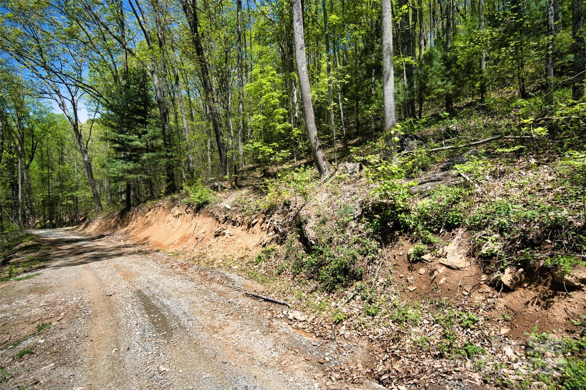 99999 Anderson Cove Road Barnardsville, NC 28709 - Photo 20 of 36 a view of a yard with plants and tree