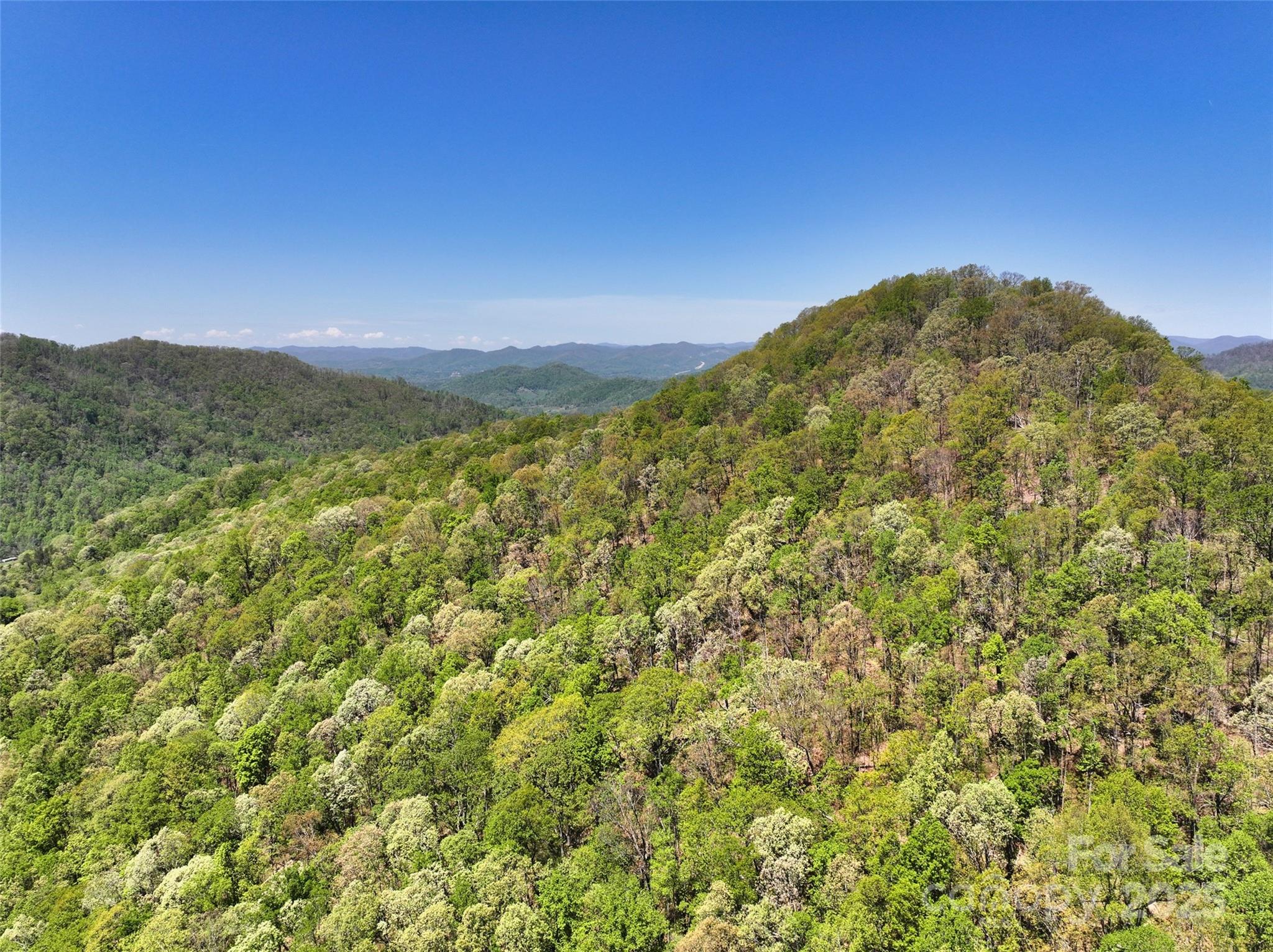 99999 Anderson Cove Road Barnardsville, NC 28709 - Photo 2 of 36 a view of a large mountain with sunset in background