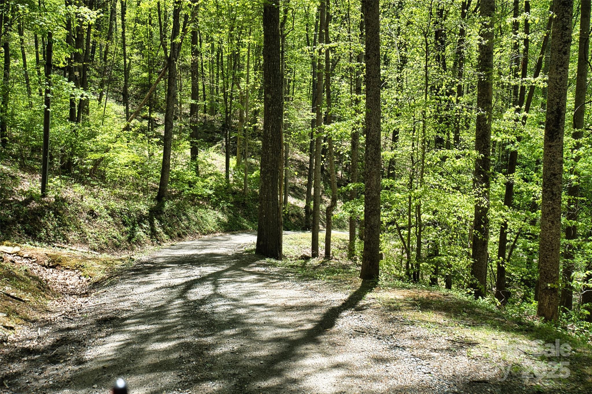 99999 Anderson Cove Road Barnardsville, NC 28709 - Photo 22 of 36 a view of a yard with plants and trees