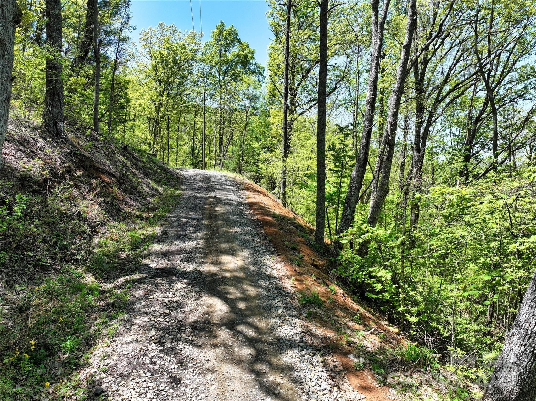 99999 Anderson Cove Road Barnardsville, NC 28709 - Photo 24 of 36 a view of forest