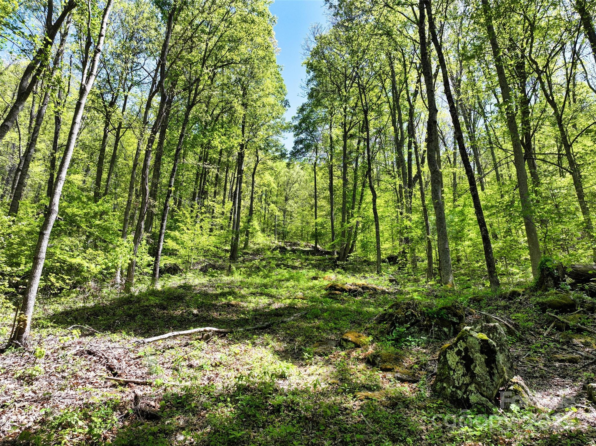 99999 Anderson Cove Road Barnardsville, NC 28709 - Photo 27 of 36 a backyard of a house with lots of green space