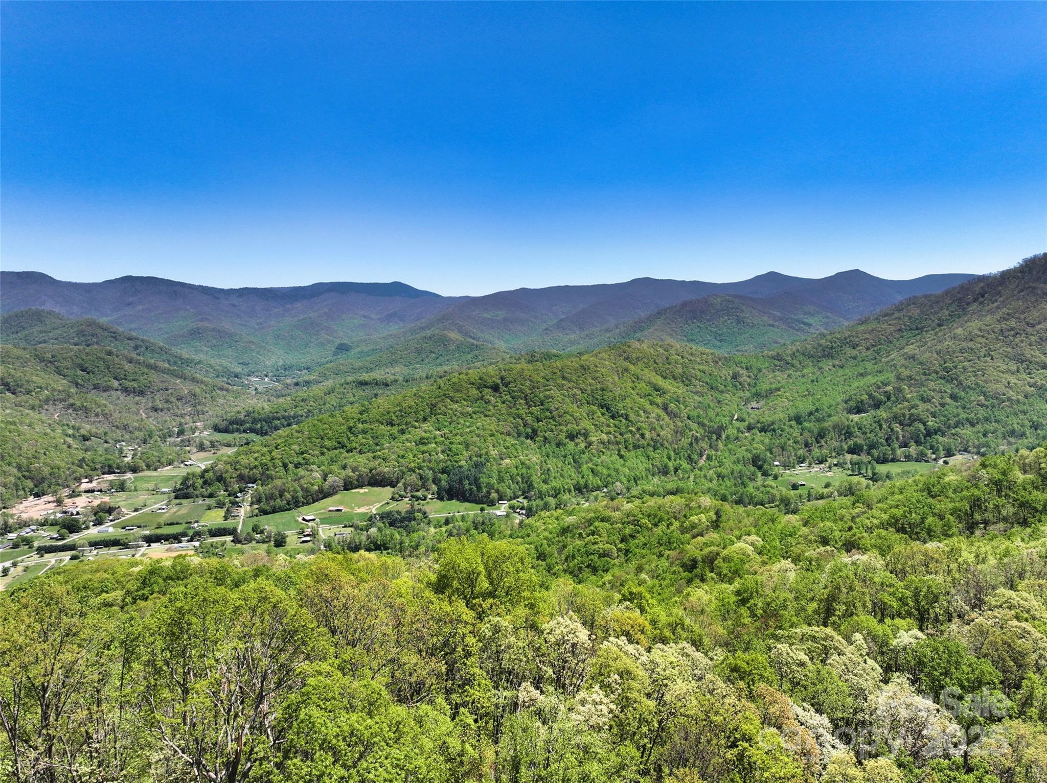 99999 Anderson Cove Road Barnardsville, NC 28709 - Photo 29 of 36 a view of a forest with a mountain