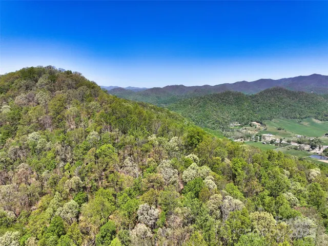a view of a city with a mountain in the background