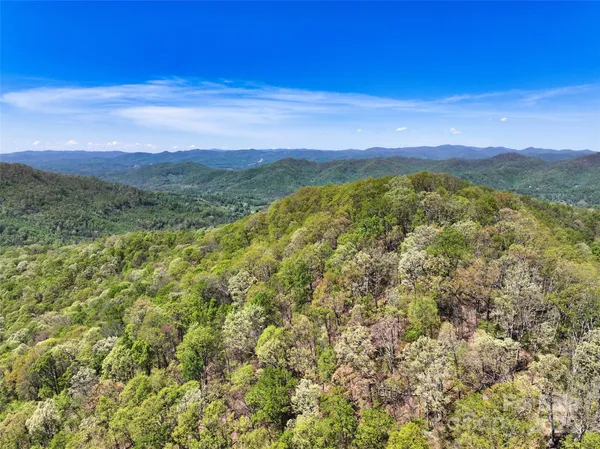 a view of a city with lush green forest