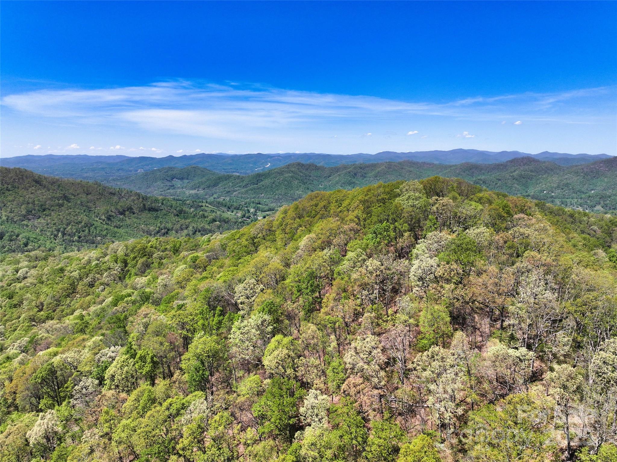 99999 Anderson Cove Road Barnardsville, NC 28709 - Photo 3 of 36 a view of a city with lush green forest