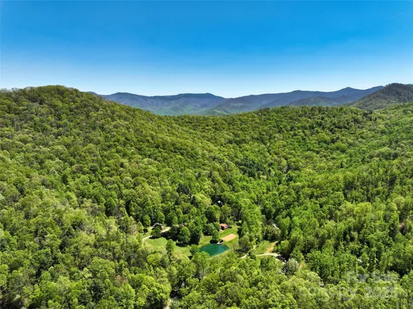 a view of a lush green field with a mountain in the background