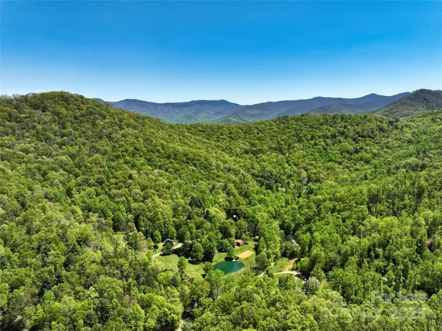 a view of a lush green field with a mountain in the background