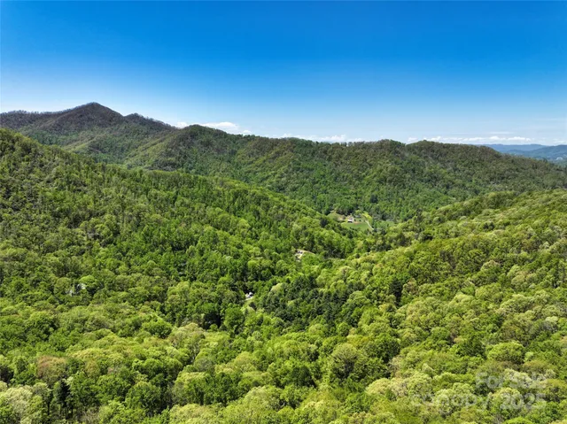 a view of a mountain range with lush green forest