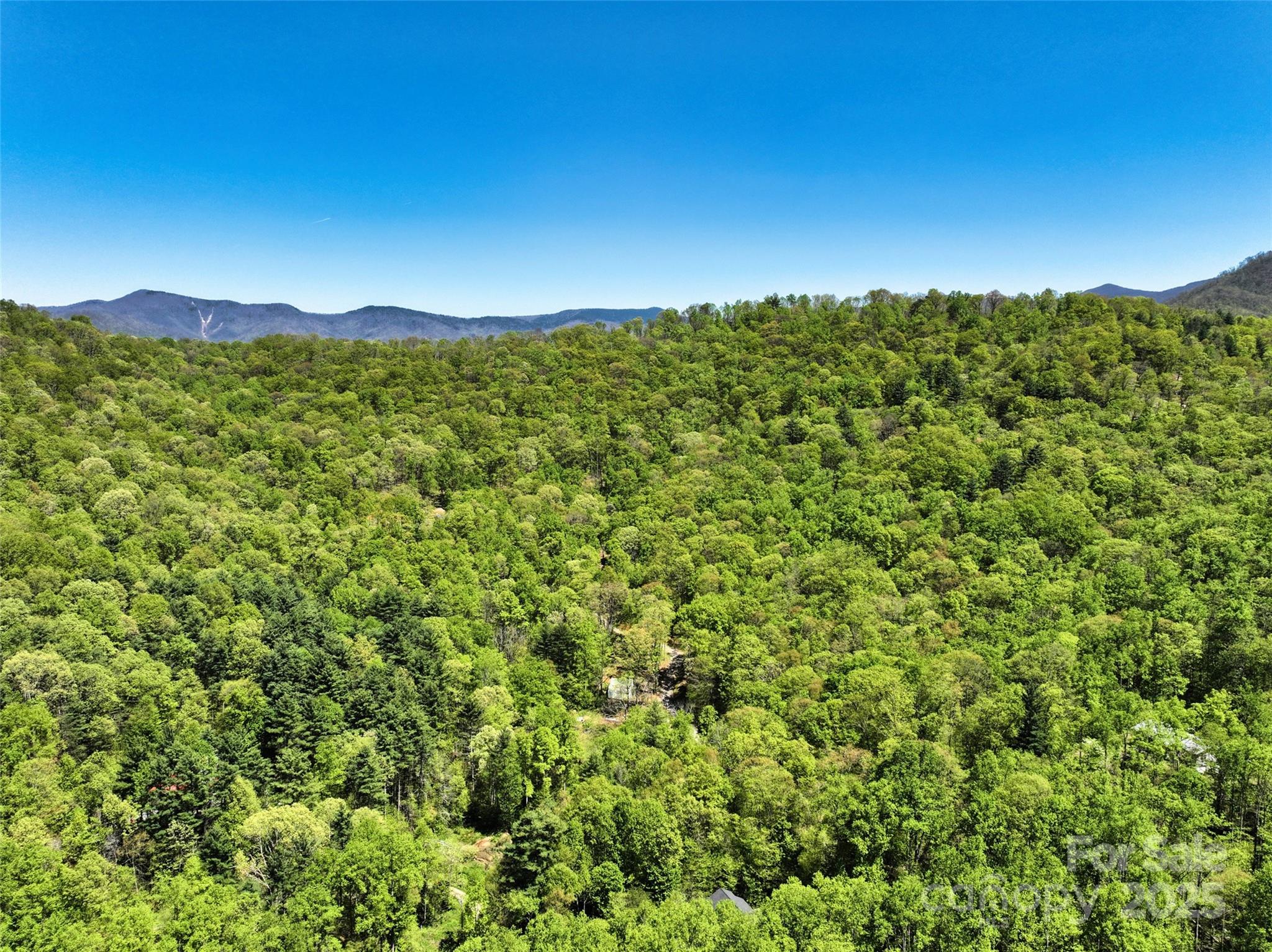 99999 Anderson Cove Road Barnardsville, NC 28709 - Photo 36 of 36 a view of a green field