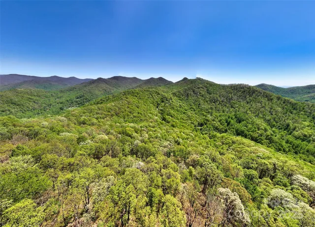 a view of a mountain range with lush green forest