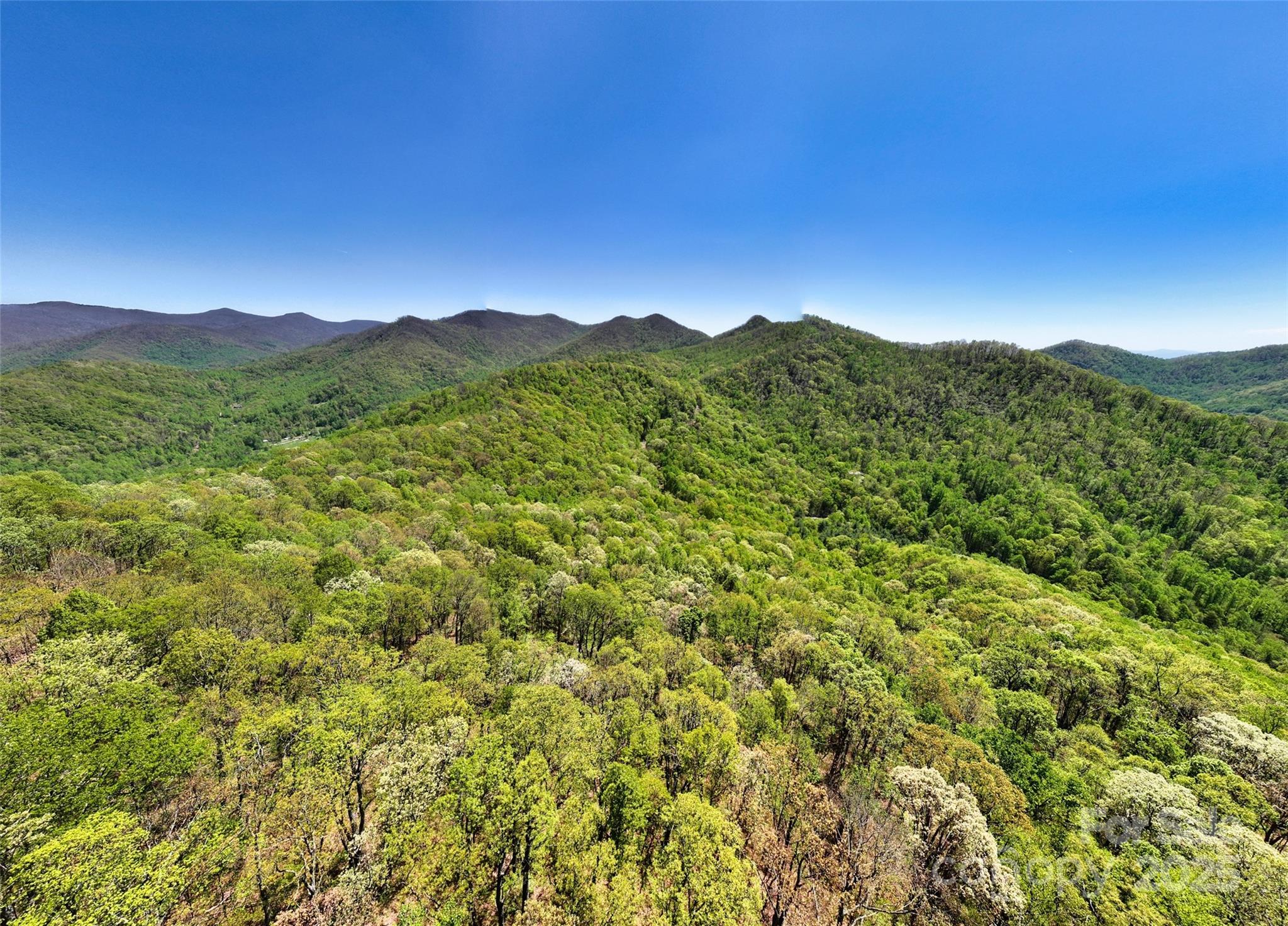99999 Anderson Cove Road Barnardsville, NC 28709 - Photo 8 of 36 a view of a mountain range with lush green forest