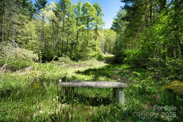 a view of a garden with a tree