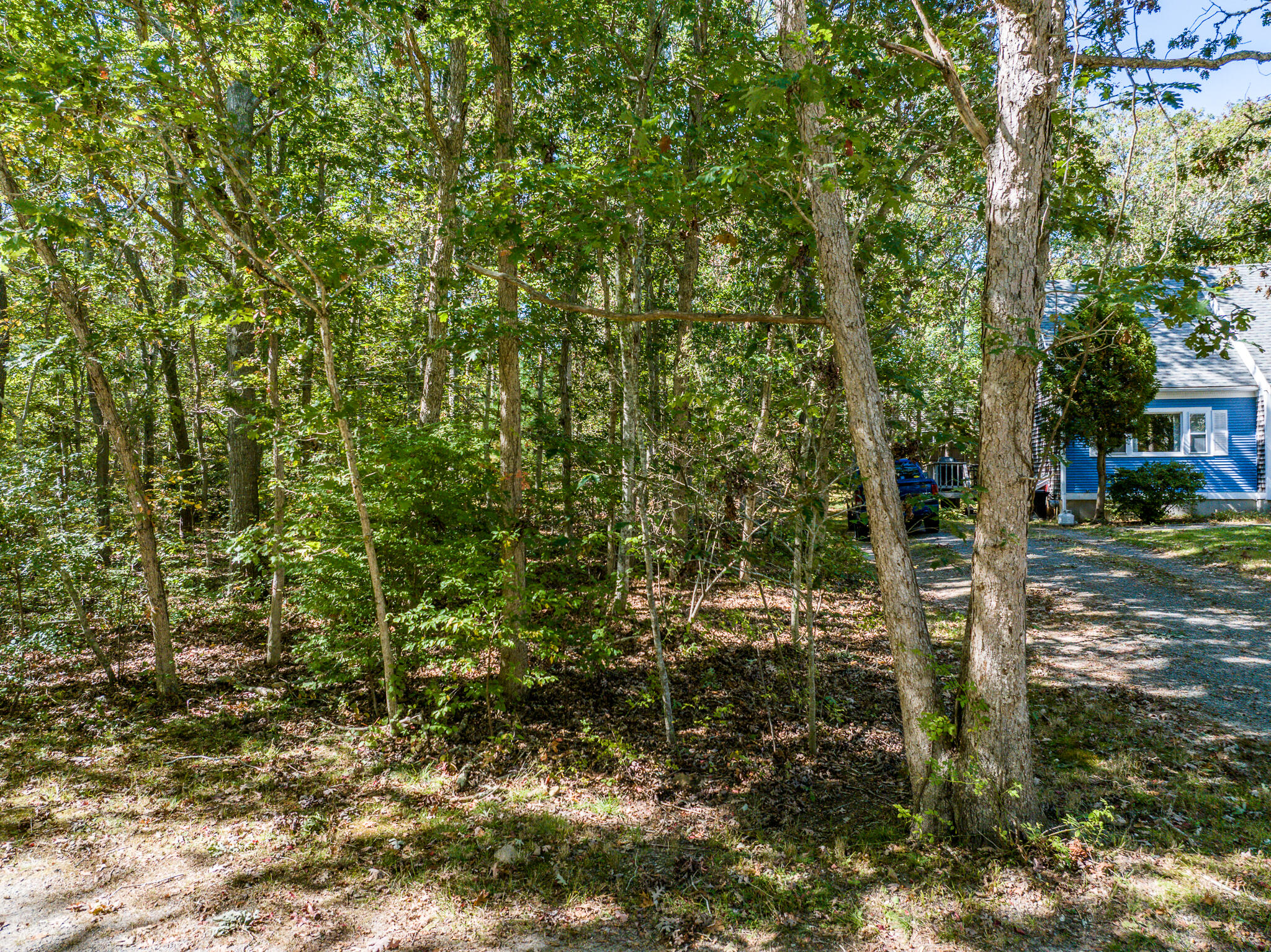 4 Faith Lane Sandwich, MA 02644 - Photo 2 of 7 a view of yard