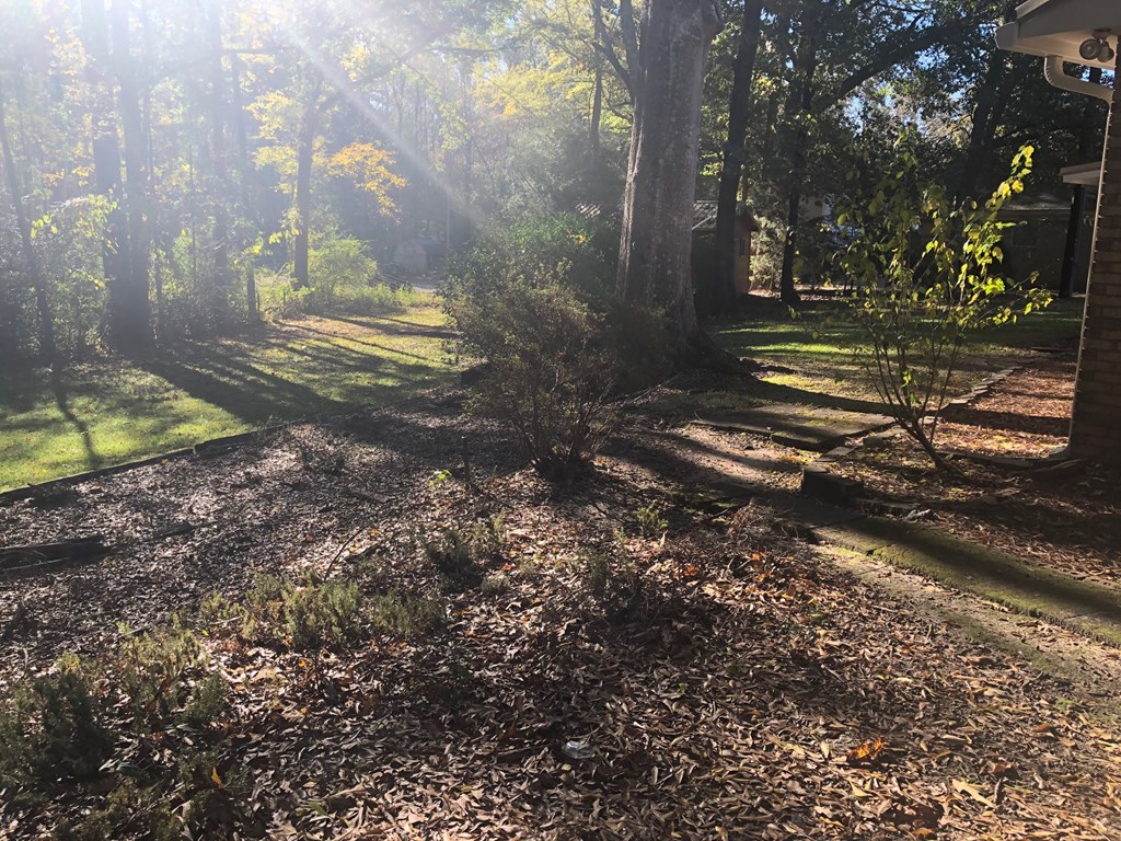 205 Jones Road Cataula, GA 31804 - Photo 16 of 16 Gallery Image 16