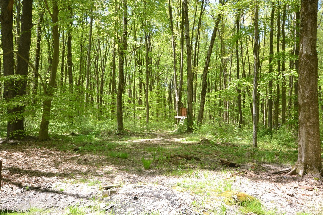 18570 Shaw Road Chagrin Falls, OH 44023 - Photo 19 of 20 Gallery Image 19