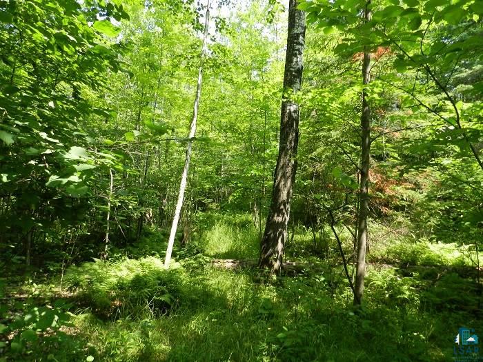 Tbd Differding Point Road Eveleth, MN 55734 - Photo 1 of 7 Gallery Image 1
