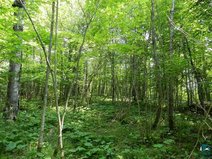 Tbd Differding Point Road Eveleth, MN 55734 - Photo 3 of 7 Gallery Image 3