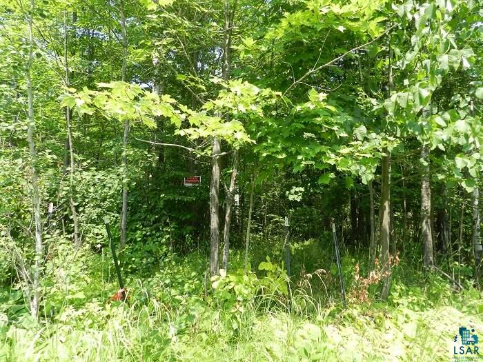 Tbd Differding Point Road Eveleth, MN 55734 - Photo 4 of 7 Gallery Image 4