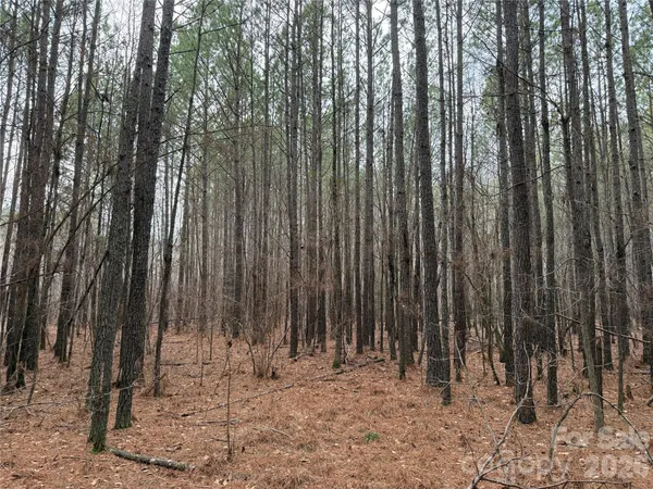 $150,000 | 106 Legrand Road, Mount Gilead, NC 27306