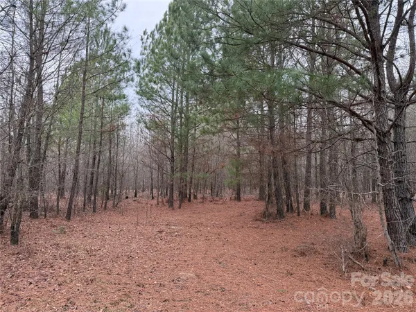 $150,000 | 106 Legrand Road, Mount Gilead, NC 27306