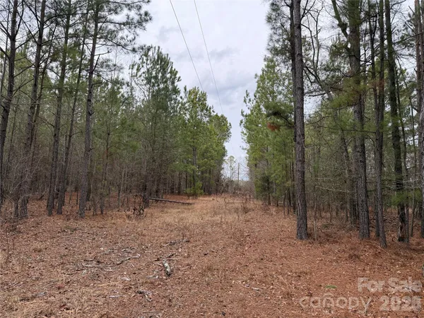 $150,000 | 106 Legrand Road, Mount Gilead, NC 27306