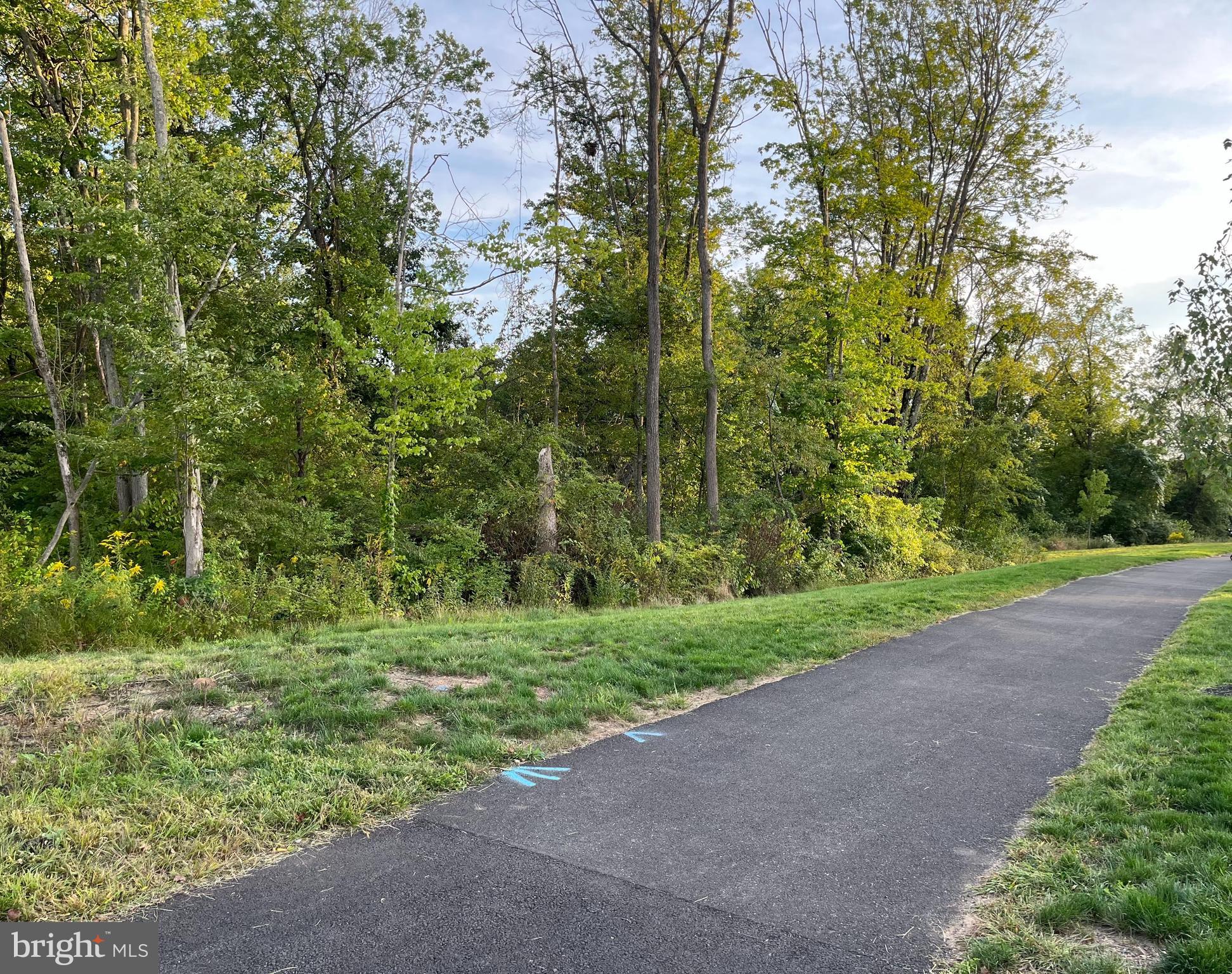 101 Wynstone Court Colmar, PA 18915 - Photo 36 of 37 Gallery Image 36