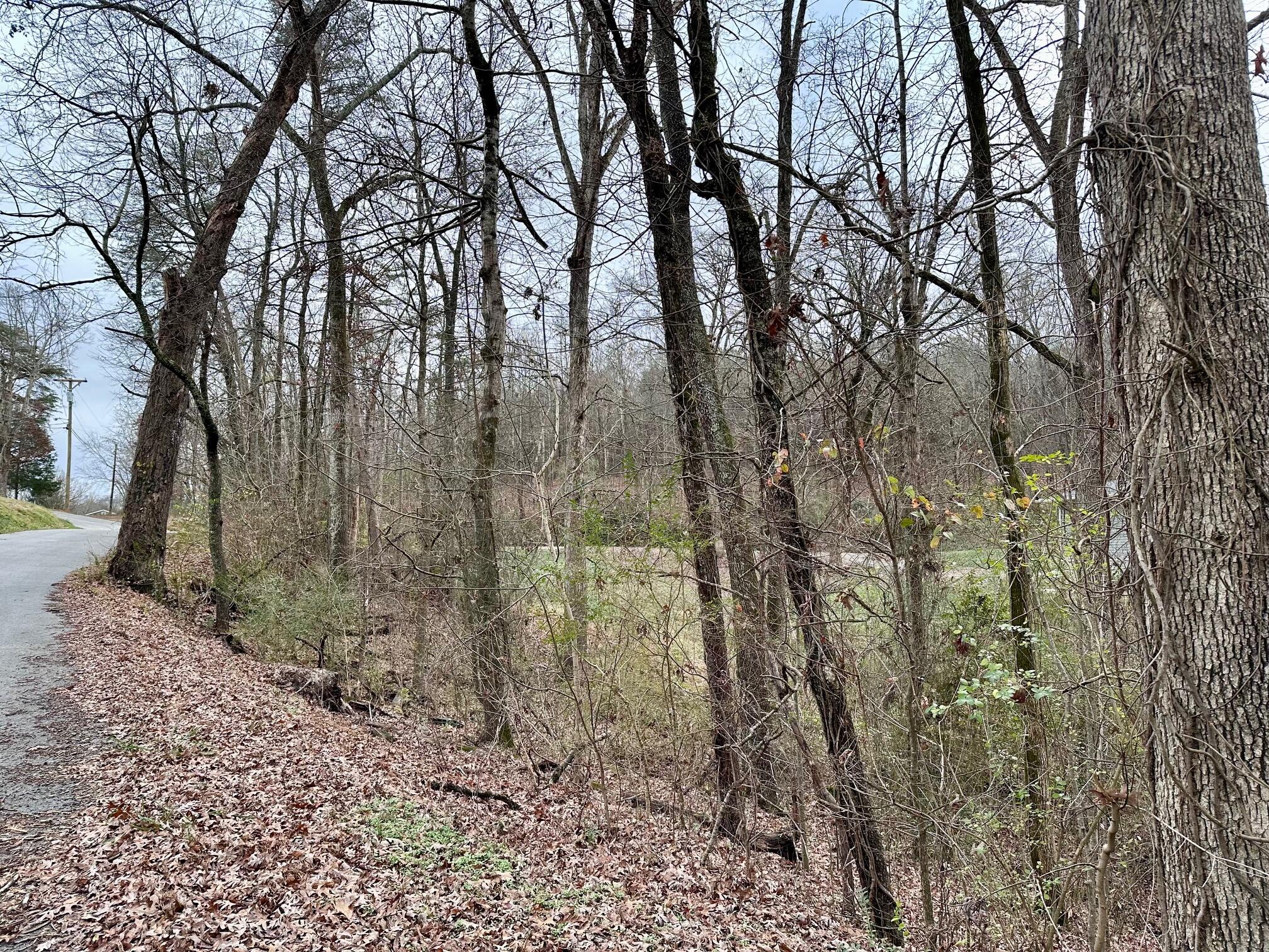 302 Brumlow Hollow Road Soddy Daisy, TN 37379 - Photo 3 of 5 IMG_1657