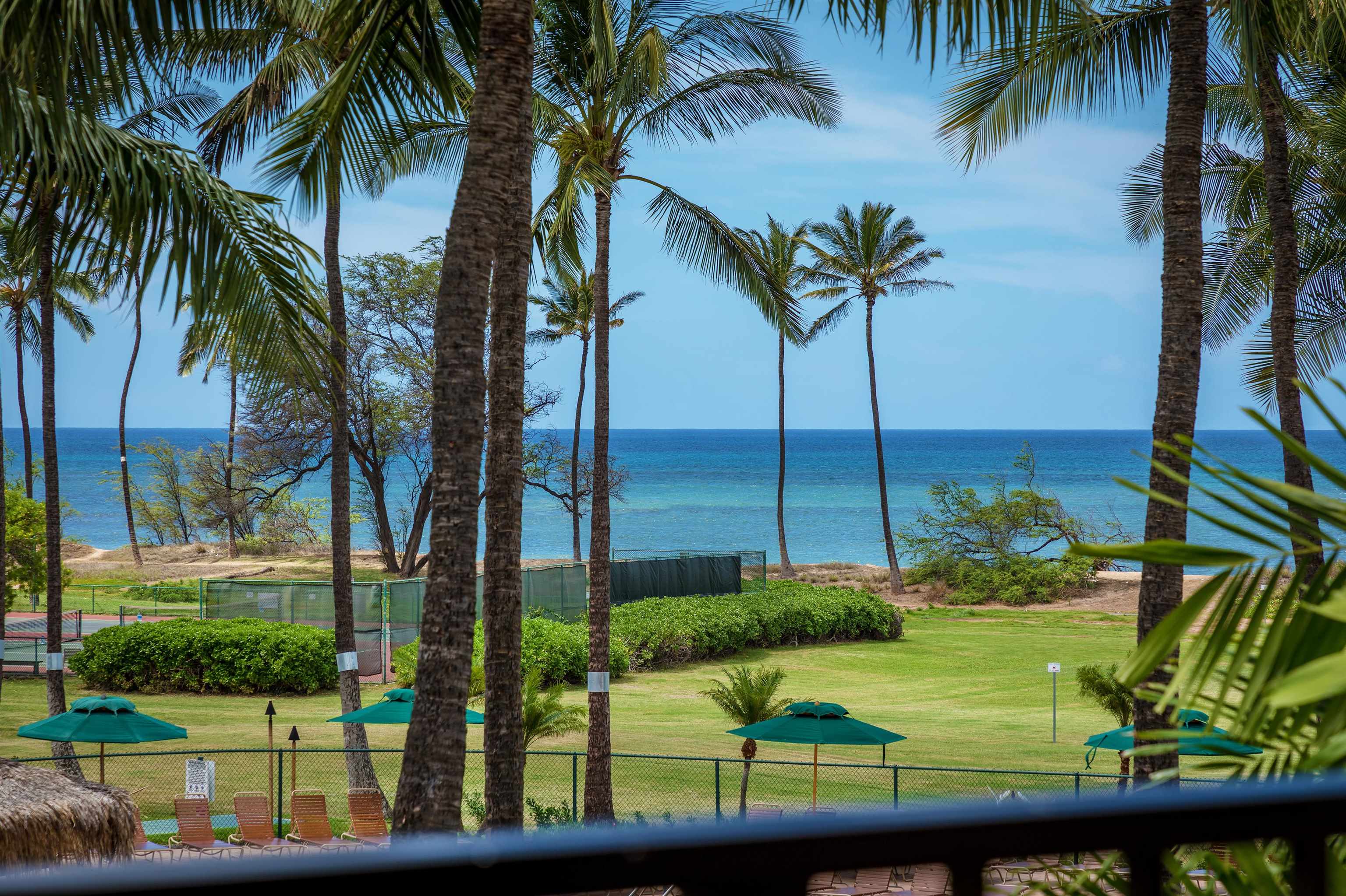 940 South Kihei Road, Unit B309 Kihei, HI 96753 - Photo 26 of 29 a view of a backyard