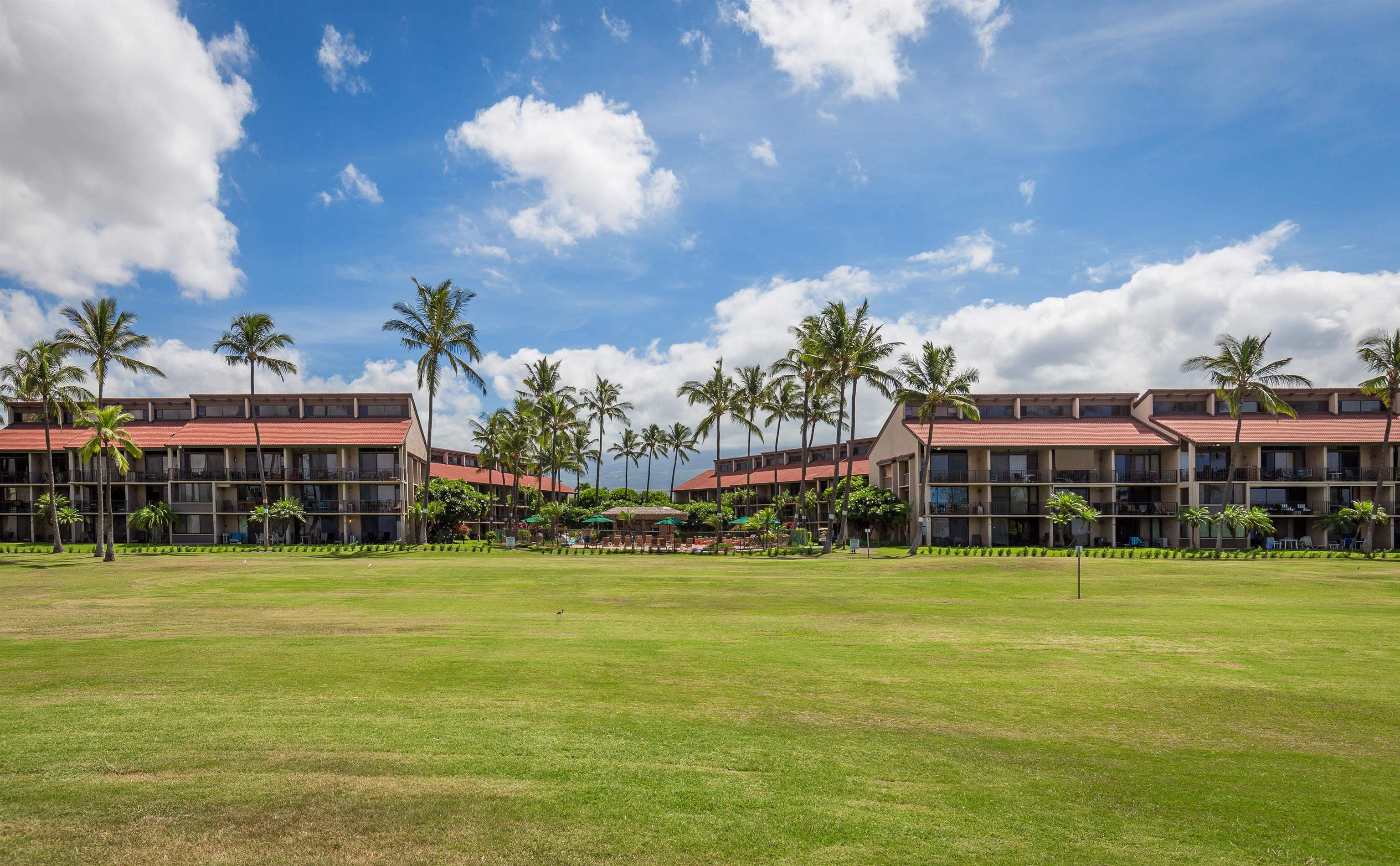 940 South Kihei Road, Unit B309 Kihei, HI 96753 - Photo 29 of 29 a view of a building with a big yard