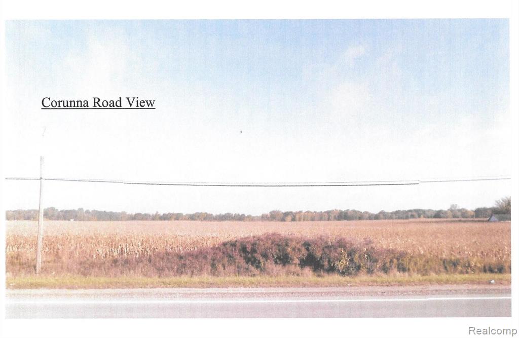 0 Elms Road Flushing, MI 48433 - Photo 2 of 2