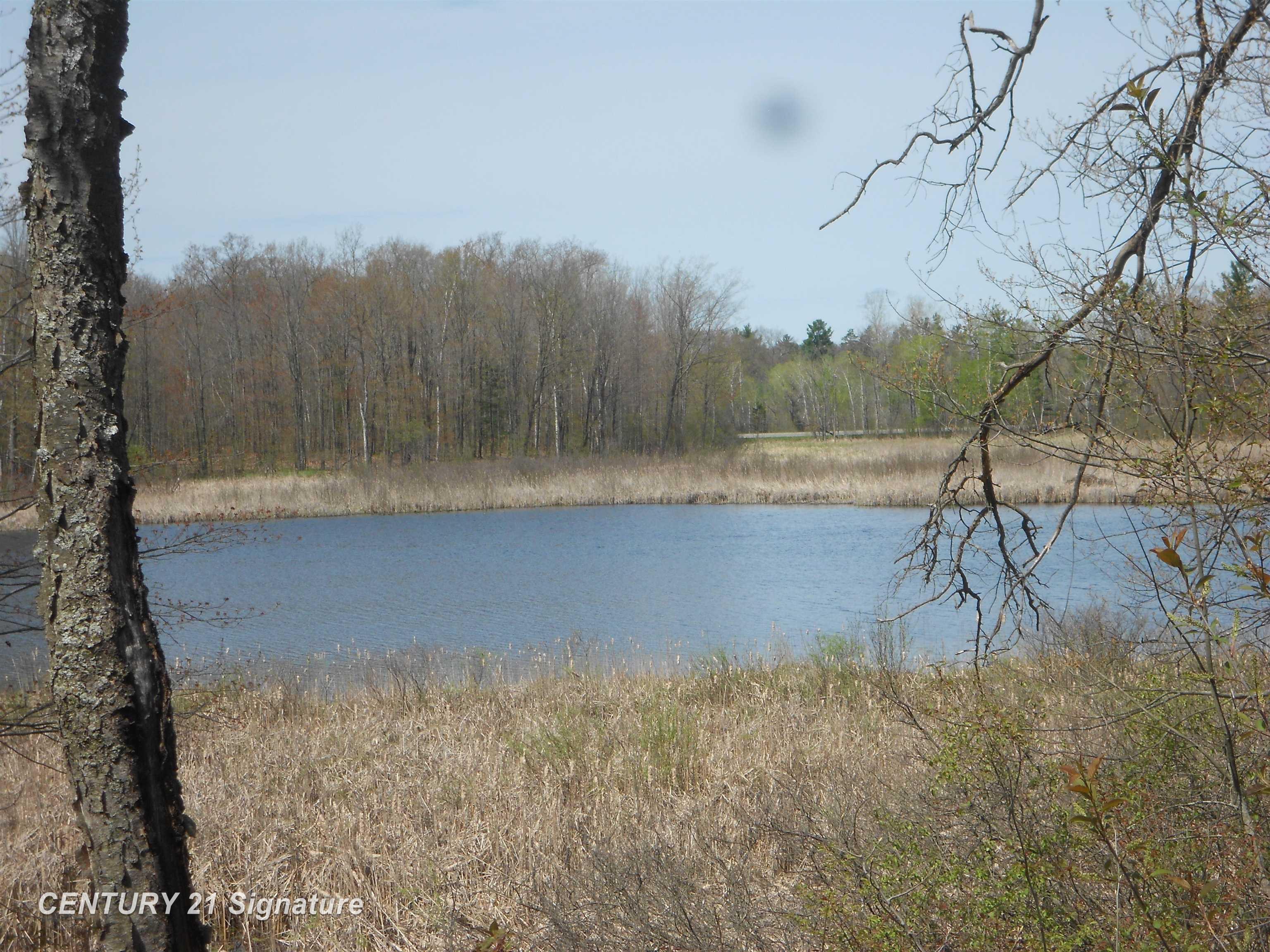 5185 Henderson Lake Road Prescott, MI 48756 - Photo 2 of 39 50116528-cd6f108c-4fb8-4098-9ea8-7b78742335c3.JPG
