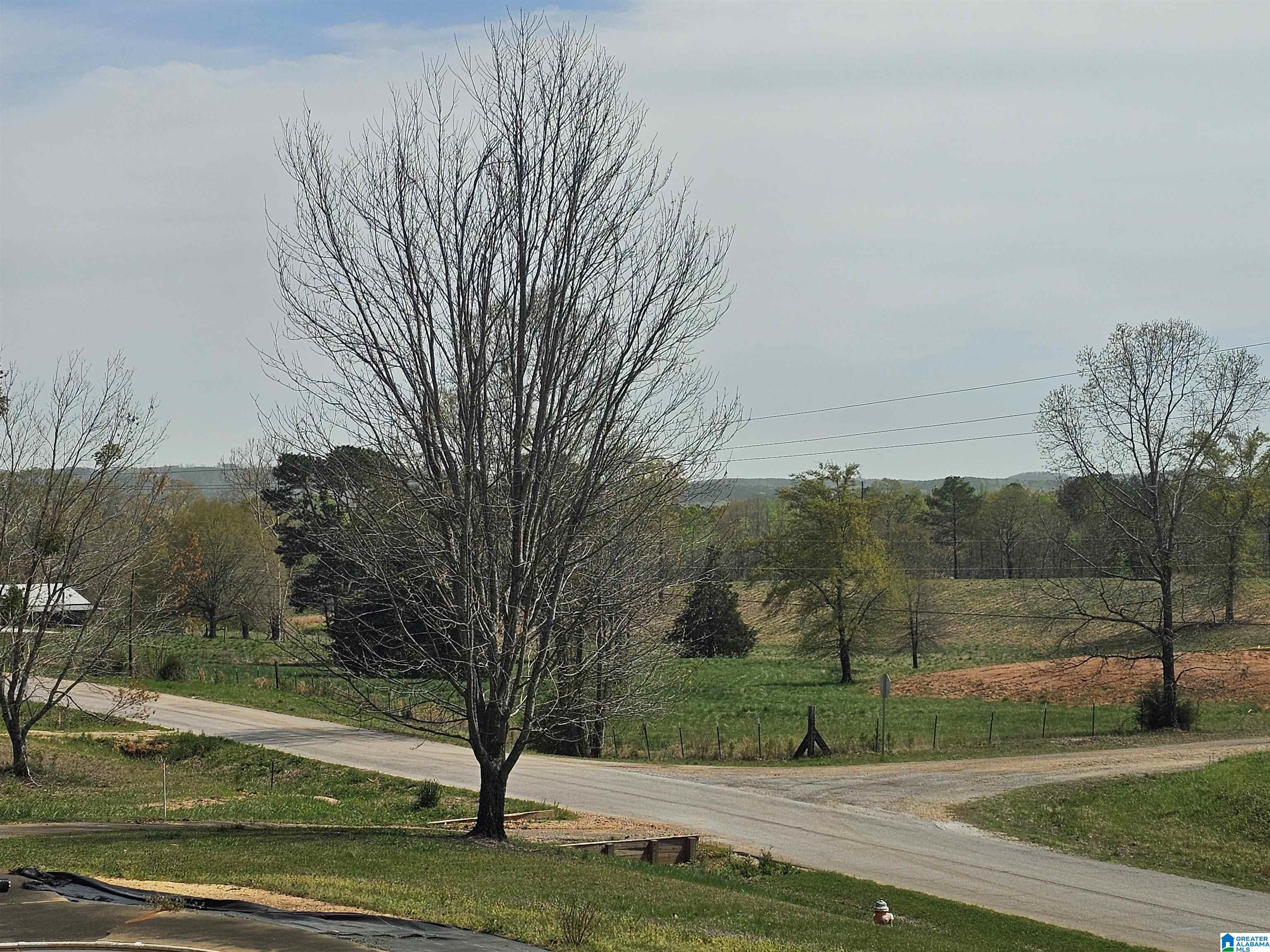 684 County Road 11 Heflin, AL 36264 - Photo 18 of 30