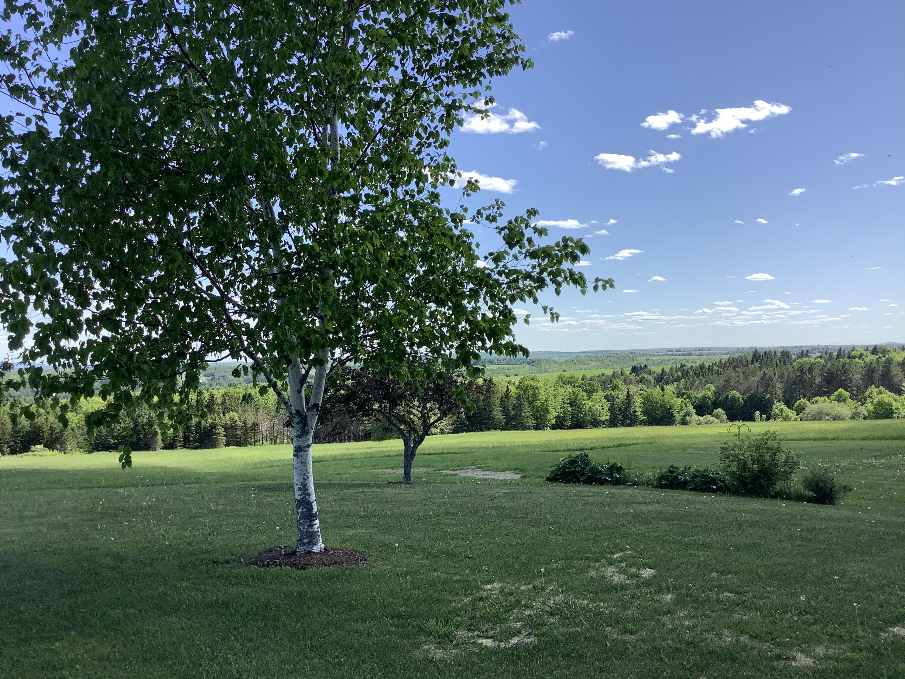 111 Blackstone Road Perham, ME 04766 - Photo 53 of 53 68DB8F7B-C074-4169-ACD9-059A7BC49ED1