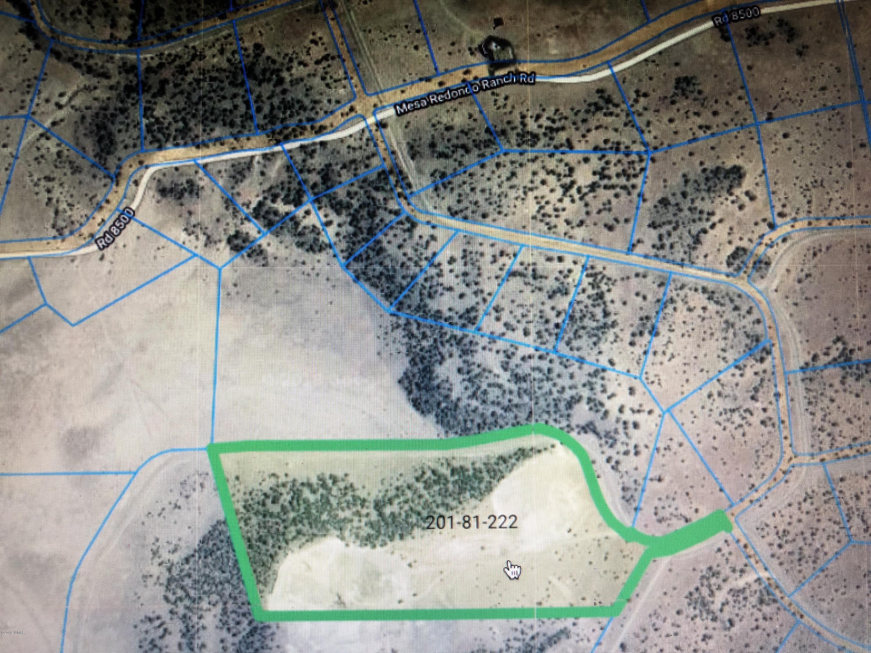 Lot 222 Windsor Valley Ranch Concho, AZ 85924 - Photo 1 of 1