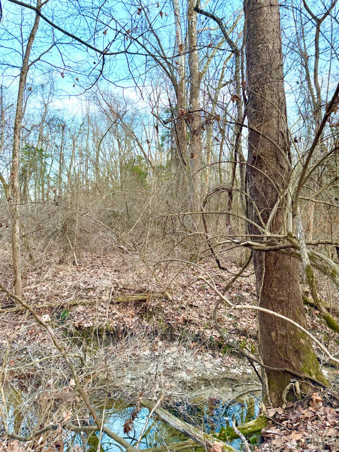 0 Martin Alexander Road Sardinia, OH 45171 - Photo 29 of 65 Gallery Image 29